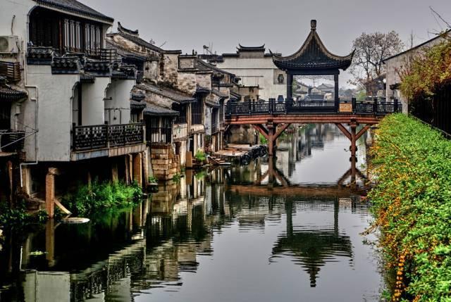 救援鹦鹉
